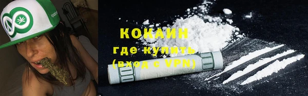 PSILOCYBIN Аркадак