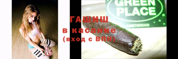 гидра Няндома