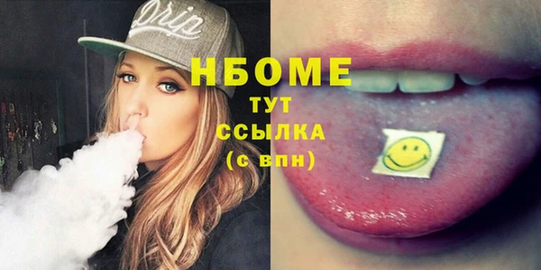 индика Нягань
