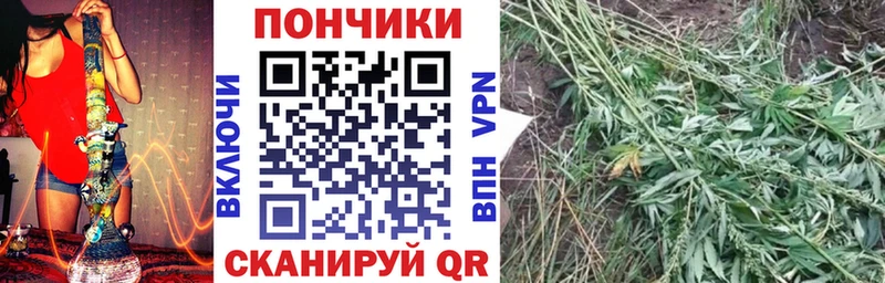 Конопля THC 21%  Ладушкин 